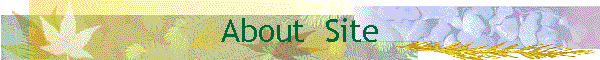 About  Site