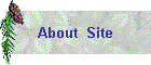 About  Site