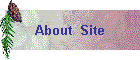 About  Site